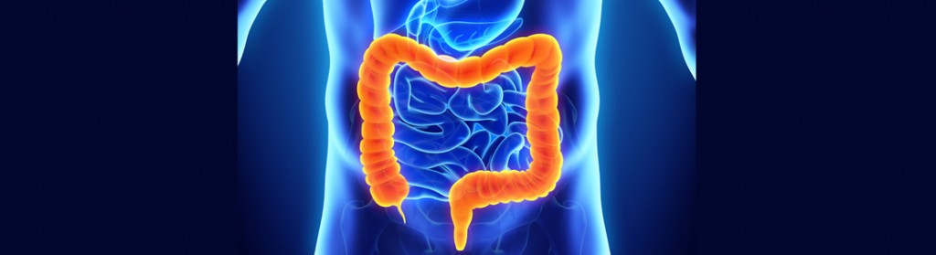 Prikkelbare Darm Syndroom (PDS)