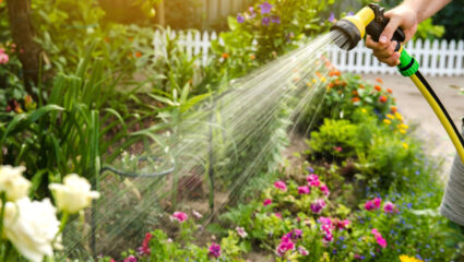 Water geven aan een tuin bij hitte en droogte