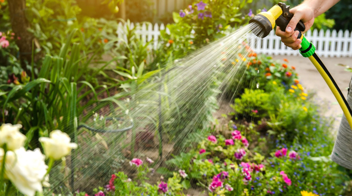 Water geven aan een tuin bij hitte en droogte