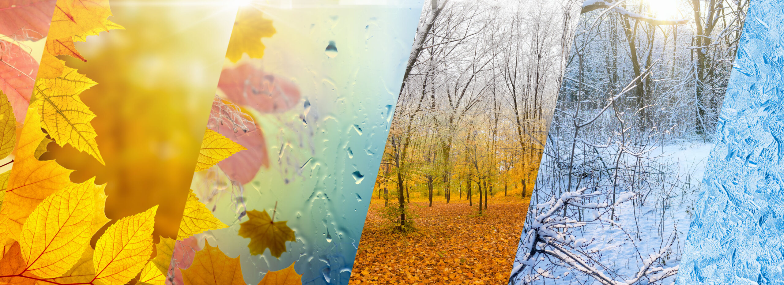 Het weer: zo maak ik een voorspelling - MAX Vandaag