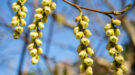 groentips-februari-shutterstock-900×500 februari