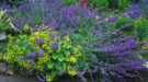 bodembedekkers-shutterstock-900×500 bodembedekkers