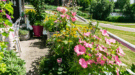 balkon-kleine-tuin-shutterstock-900×500 balkon kleine tuin