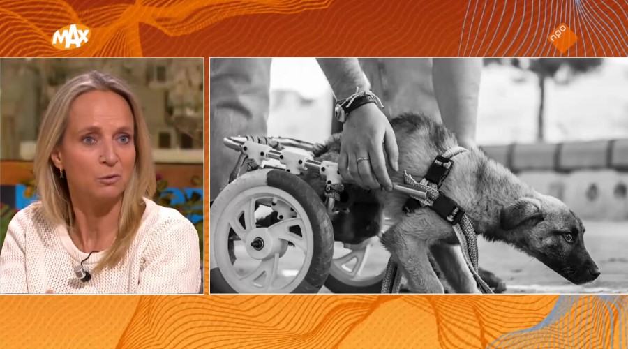 Floortje Dessing reist van Nederland naar Nepal: “Nog nooit in zo’n ingewikkeld land gedraaid als Irak”