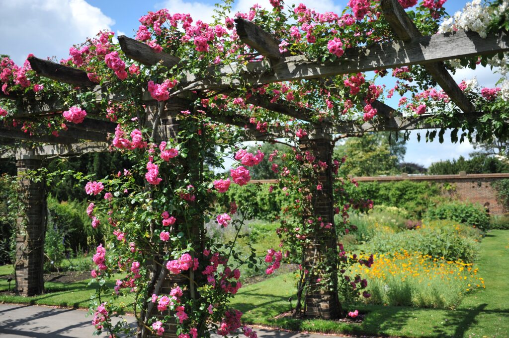 Inkijk verminderen met een pergola