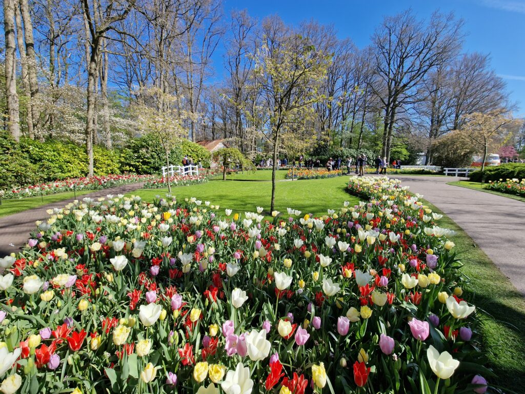 tuinbezoek Keukenhof