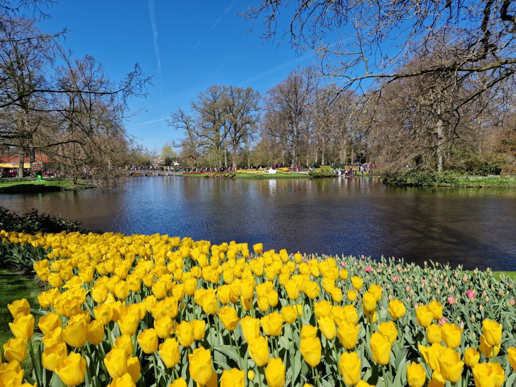 tuinbezoek Keukenhof