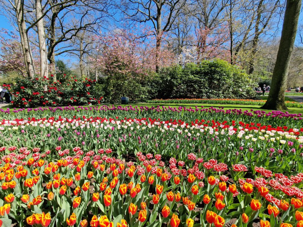 tuinbezoek Keukenhof
