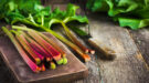 Fresh,Organic,Rhubarb,On,Cutting,Board,,Selective,Focus rabarber