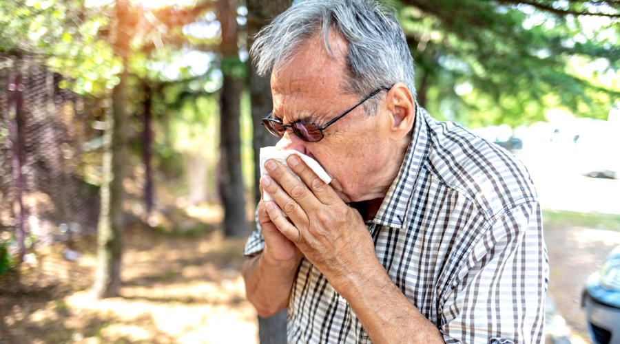 Hoe zit het? Waarom niezen sommige mensen hard en andere mensen zacht? MAX Vandaag Hoe zit het? Waarom niezen sommige mensen hard en andere mensen zacht? MAX Vandaag