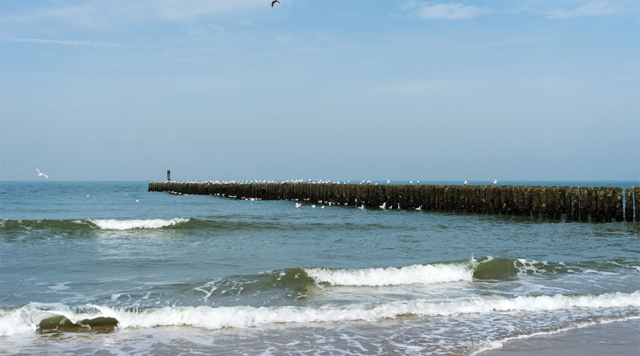 Waarom heeft de zee verschillende kleuren? - MAX Vandaag