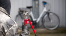 fietsdiefstal-shutterstock-900×500 fietsdiefstal