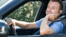 Zuchten – 900 x 500 – Shutterstock.