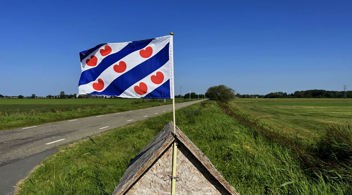 Puzzel: vlag Friesland