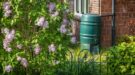 groenetuin_shutterstock_2451482259_1200x667 Zo ontvangt u tot 2000 euro aan subsidie voor een groene(re) tuin
