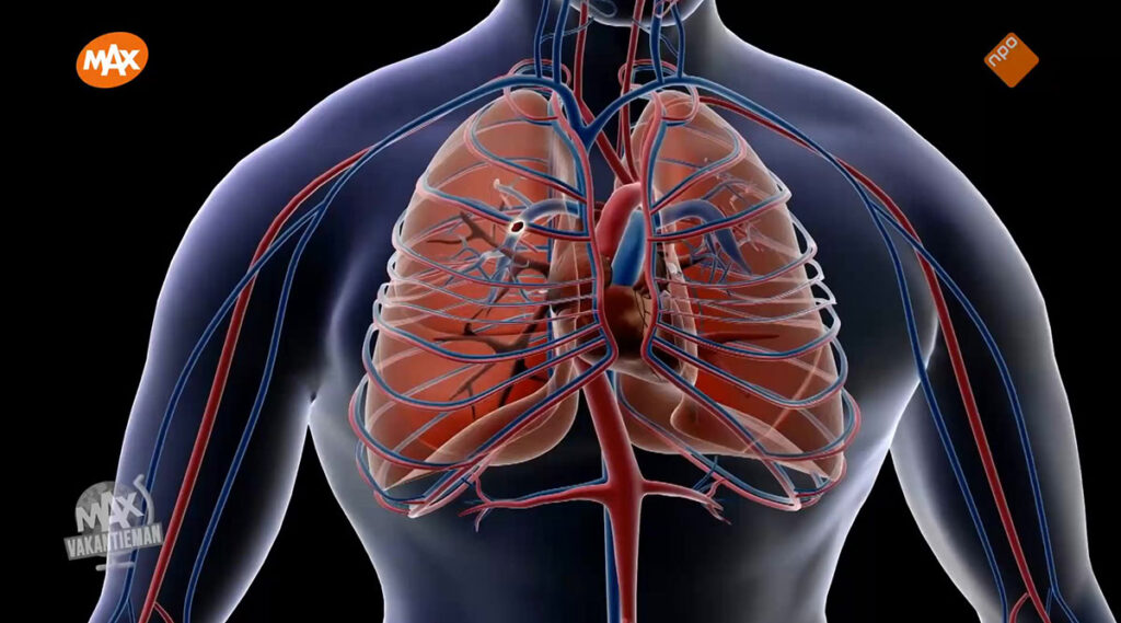 Risico op trombose groter bij vluchten langer dan 4 uur: “één op de 4.500 reizigers krijgt hiermee te maken”