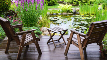 Houten zitje bij een vijver met mooie planten