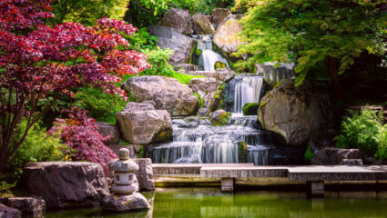 vijver met waterval in Japanse tuin