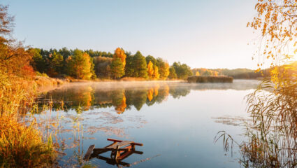 Een herfstlandschap.