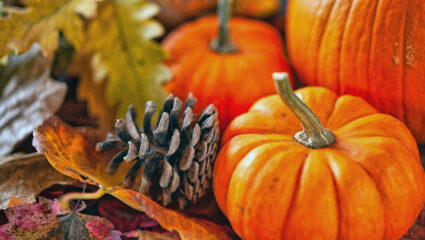 Een herfstachtig stilleven.