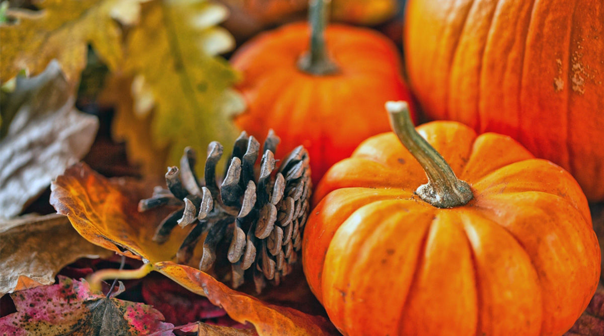 Een herfstachtig stilleven.