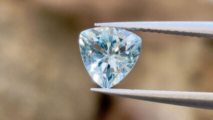 puzzel van de aquamarijn