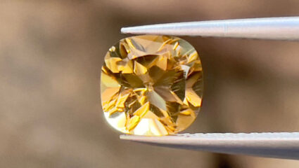 puzzel van de citrien