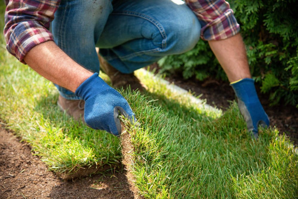 Een man legt graszoden in de tuin