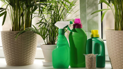 Plantenvoeding geven aan kamerplanten