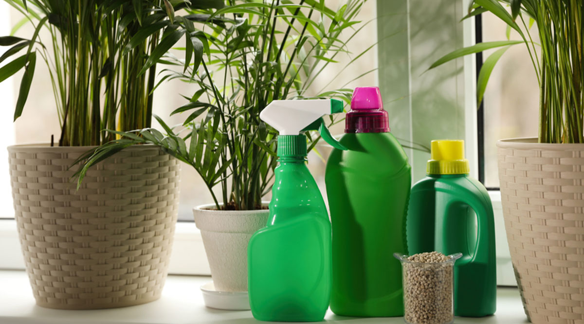 Plantenvoeding geven aan kamerplanten