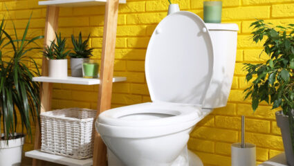 Een gezellig toilet.