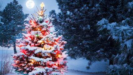 MAX Vandaag puzzel: maak de kerstboom in de sneeuw compleet