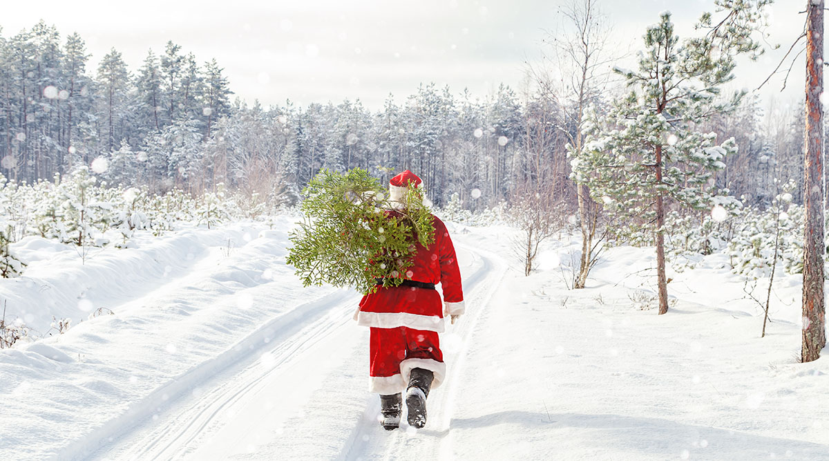 MAX Vandaag puzzel: maak de kerstman met de kerstboom compleet.