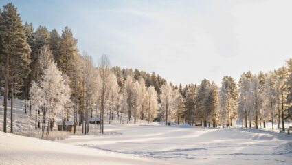 MAX Vandaag puzzel: maak het winterlandschap compleet
