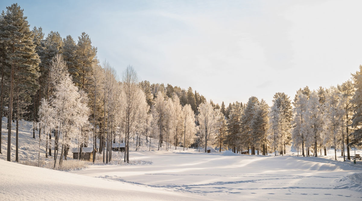 MAX Vandaag puzzel: maak het winterlandschap compleet