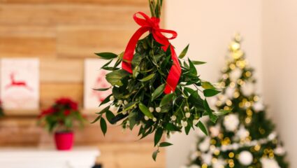 Hoe zit het? Waarom zoenen we onder de mistletoe?
