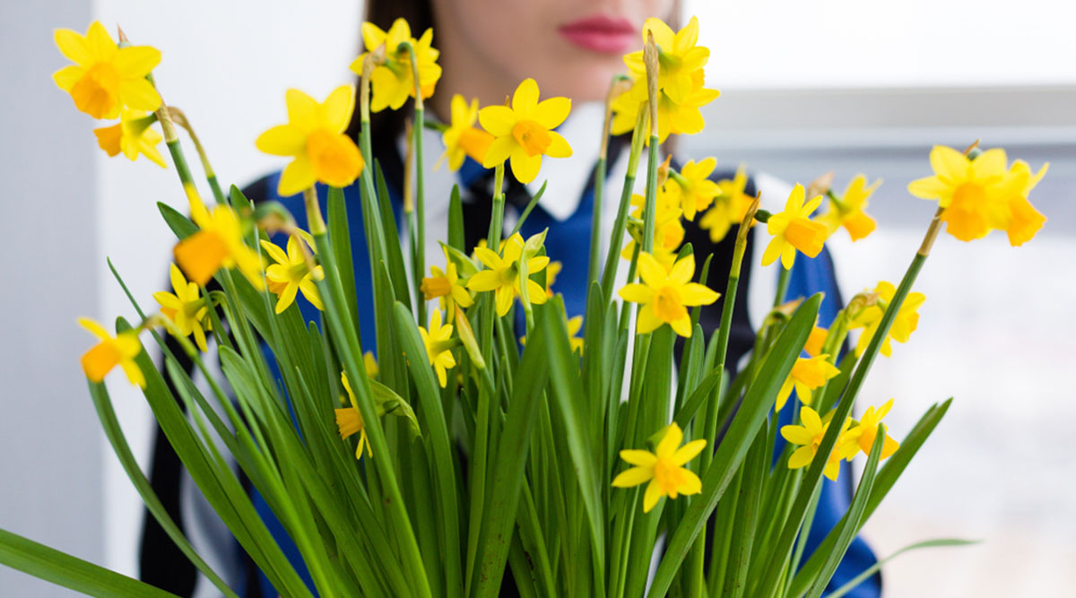 Puzzel: maak de vrouw met de gele narcissen compleet.