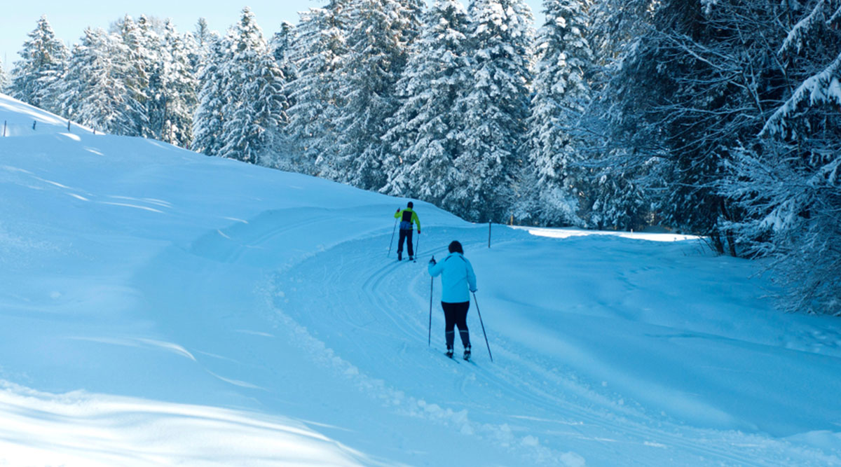 MAX Vandaag puzzel: maak de langlaufers compleet.