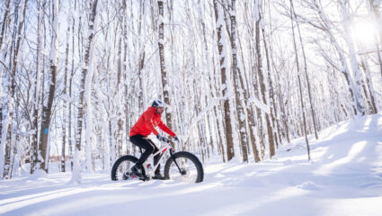 MAX Vandaag puzzel: maak de mountainbiker in de sneeuw compleet.