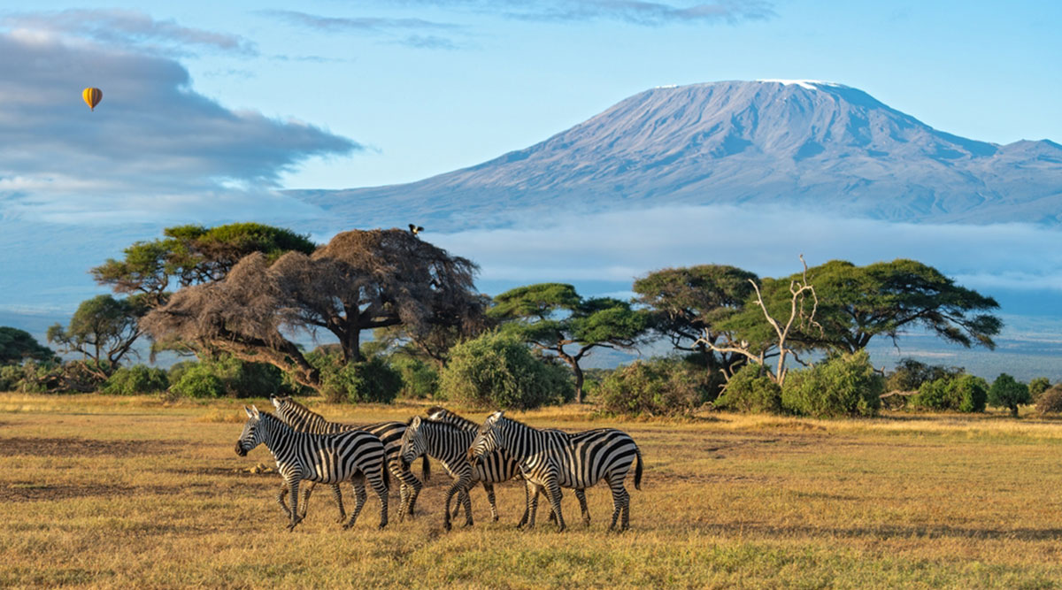 Puzzel Kilimanjaro