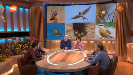 Arjan Dwarshuis in Tijd voor MAX over hoe je vogels herkent.