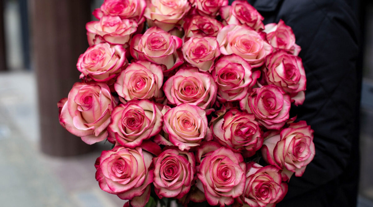 MAX Vandaag puzzel: maak de hibiscus compleet