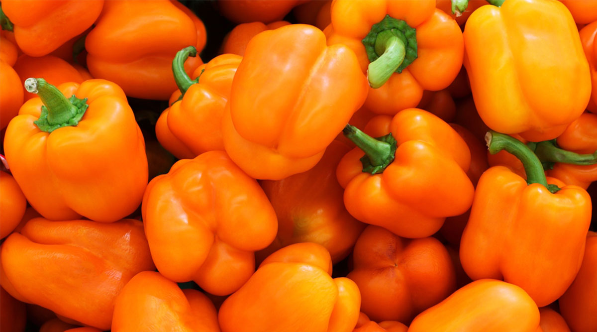 Puzzel: maak de oranje paprika's compleet.