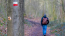 pieterpad-rolstoel-shutterstock_2258295779-1200×667