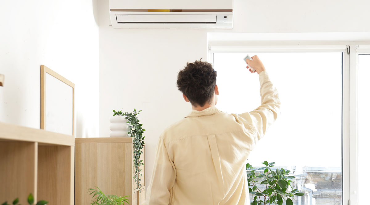 Kamerplanten in de buurt van een airco