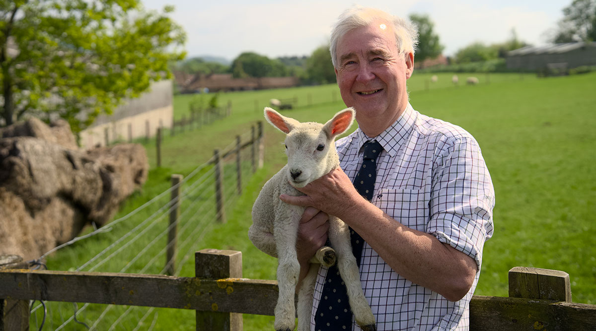 De dierenarts van Yorkshire seizoen 19.