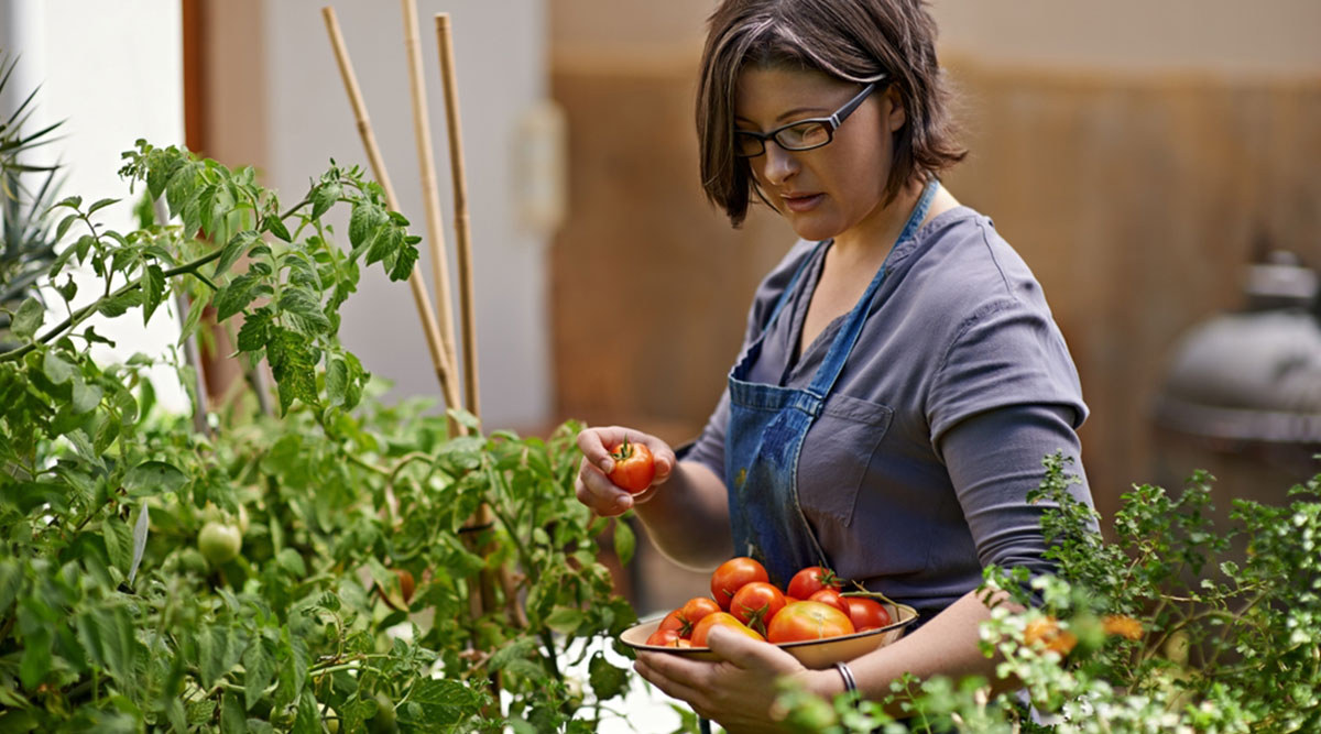 Een vrouw met haar oogst tomaten