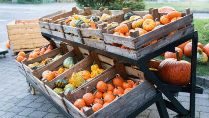 Verschillende soorten pompoenen