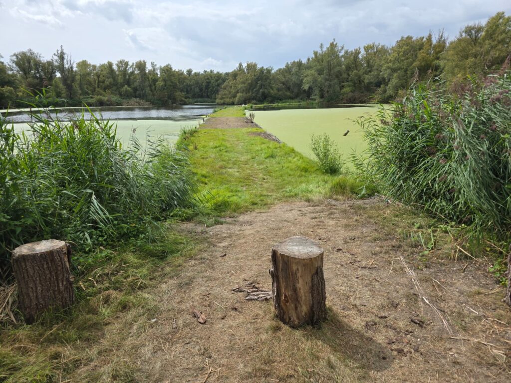Drijvend wandelpad