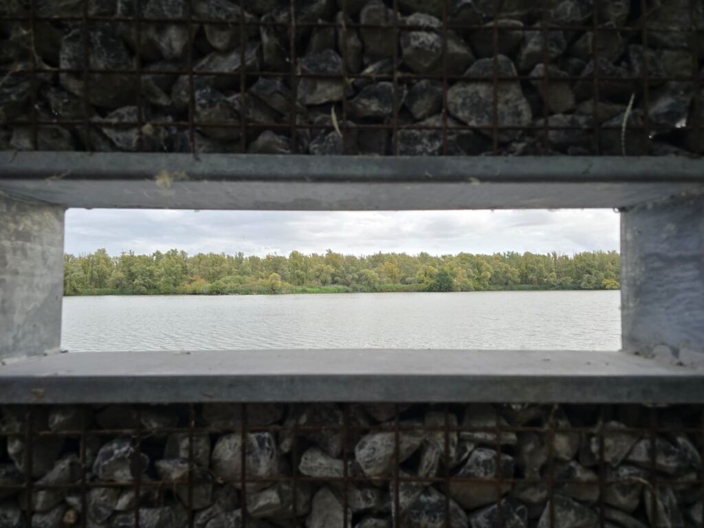 Kijkpunt om watervogels te bekijken in het Wilgenbos
